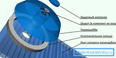 Pričvrsni list Pričvrsni list