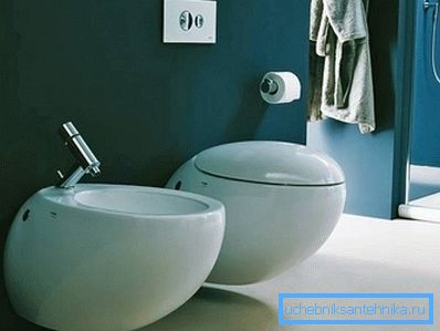3953 Dizajnerski WC i bide