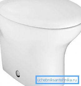 Na foto - porculan WC