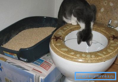 Na foto - ladicu, stavite u vodu s WC - om Na foto - ladicu, stavite u vodu s WC - om