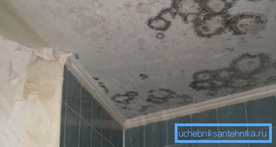 Na fotografiji - posljedice nedostatka ventilacije (vjerojatno je miris prikladan) Na fotografiji - posljedice nedostatka ventilacije (vjerojatno je miris prikladan)
