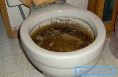 Nema više problema nego začepljenja u WC-u Nema više problema nego začepljenja u WC-u