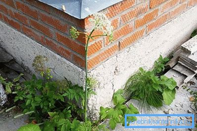 1211 Betonski betonski podrum
