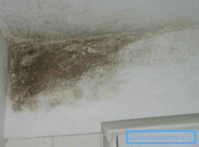 Množenje plijesni rezultat je slabe cirkulacije zraka u stanu. Množenje plijesni rezultat je slabe cirkulacije zraka u stanu.