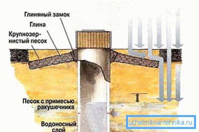 Dijagram minske osovine Dijagram minske osovine