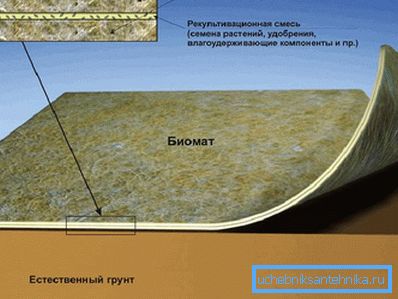 Biomatska struktura