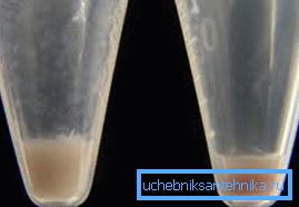 Čvrsta kvaliteta granule u vodi pretvorena je u šljunak Čvrsta kvaliteta granule u vodi pretvorena je u šljunak
